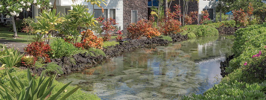 Holua Resort at Mauna Loa Village's Golf Course