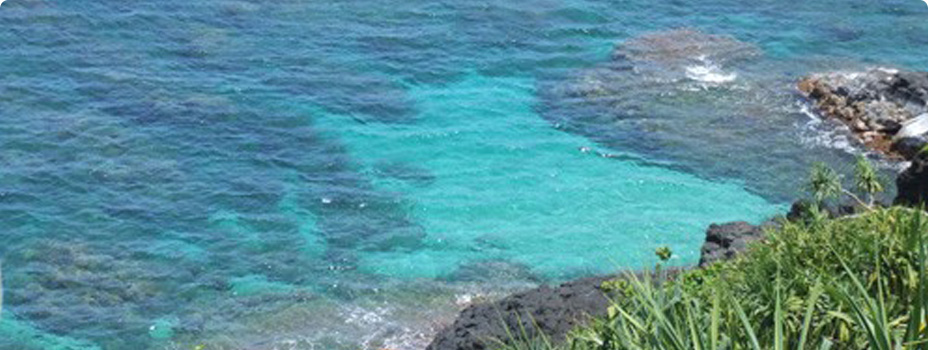 View from the Cliffs of Princeville Overlooking the Ocean at the Cliffs Club