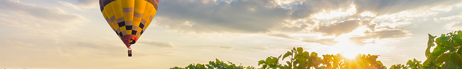 Napa Destination Guide