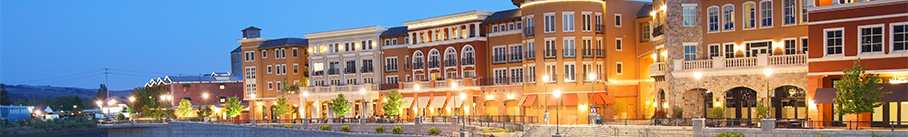 Napa Destination Guide