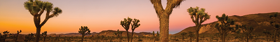  National Park Destination Guide